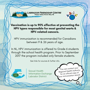 Campaign text and organization logos are shown on a pale blue background bordered with waving blue lines and a snow flecked water color print. In a bottom corner a note on immunization records is shown in a thought bubble.