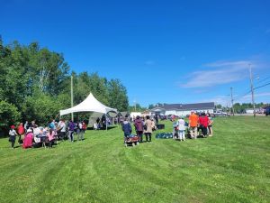 Left to right: A young person places a condom on a wooden demonstrator. A video game being created on a laptop screen. An elder wearing a mask smiles with a black fur. A painting of a winter scene featuring Northern lights and an inuksuk. Musician Ethan Angnatok poses at a riverside with his guitar.